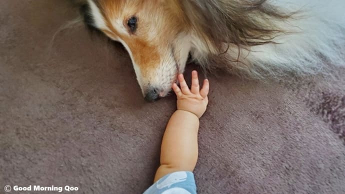 可愛いBabyが遊びにきたよ💖