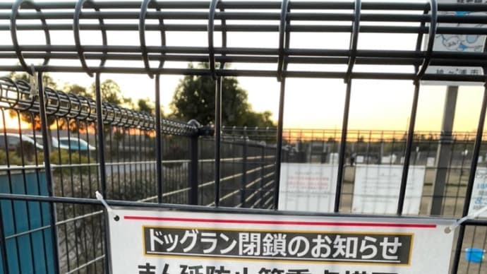 コロナの影響