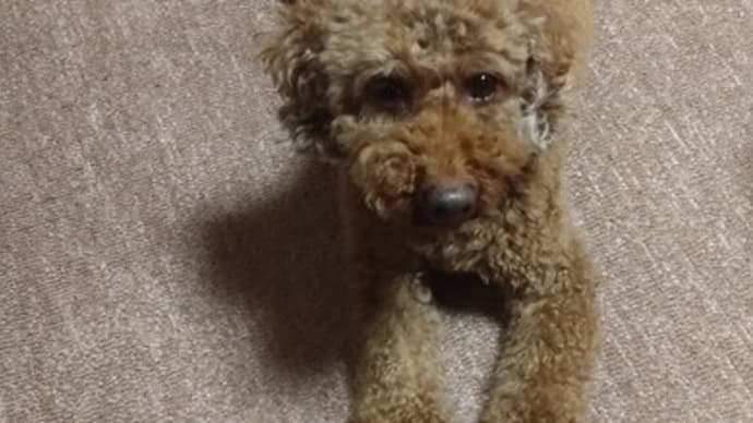 赤ちゃんを思い出しちゃったのかな?
