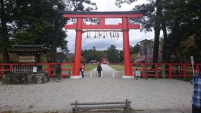 上賀茂神社と下鴨神社へ行ってきました。
