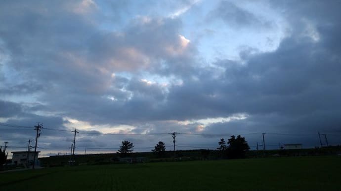 朝と午後のウォーキング (*´o)=3