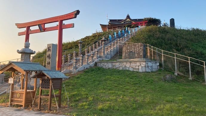 蕪島 ウミネコ 夕景