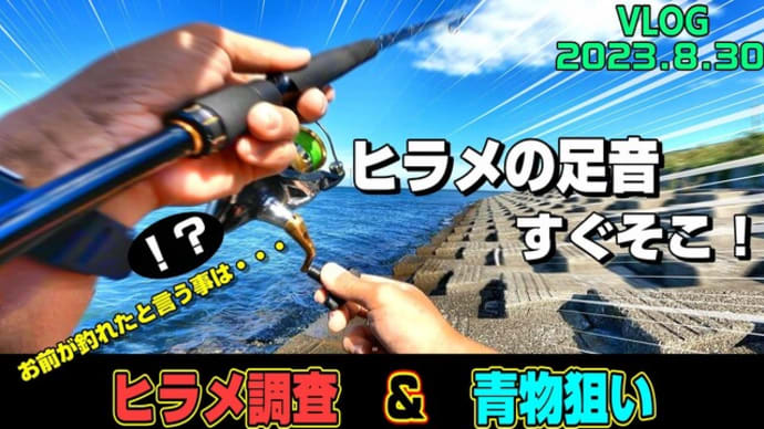 【ジギング】ヒラメ調査で青物GET!釣れた魚から考察するヒラメの調査結果