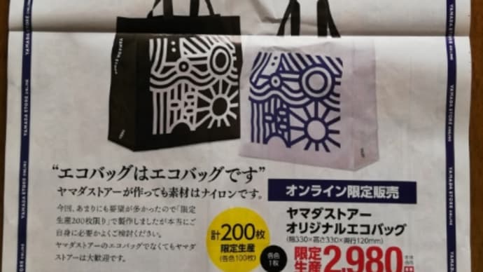 ★普通の“エコバッグ”。