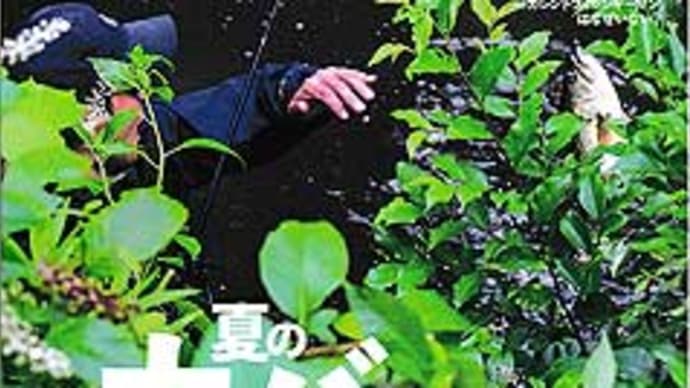 雑誌の入荷です。