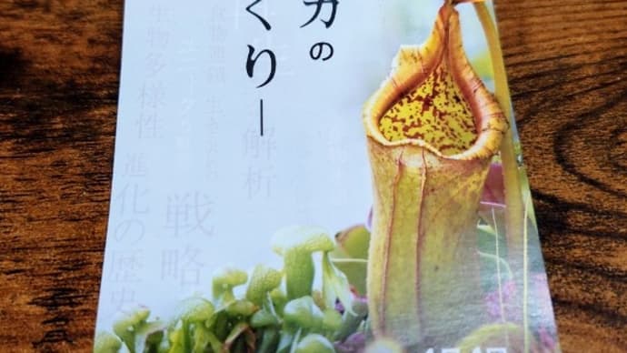 ふじのくに地球環境史ミュージアムに行ってきました
