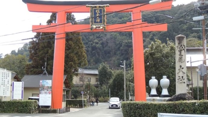 「松尾大社の霊亀の滝」と「上賀茂神社の神馬」