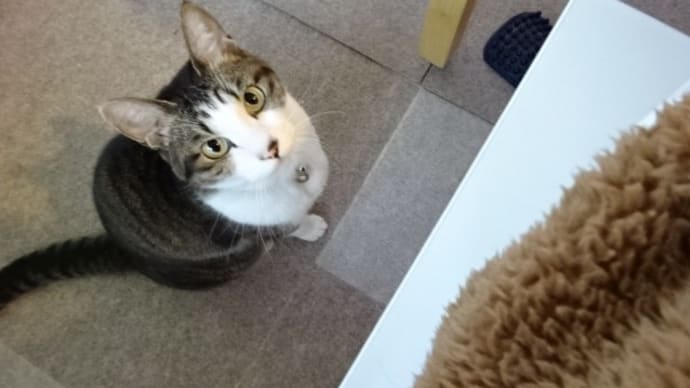 今年、ありがとうございました