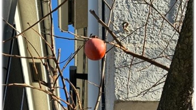 今日もやっぱり(笑)寒い