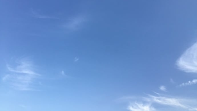 サイクリングがてら街へ