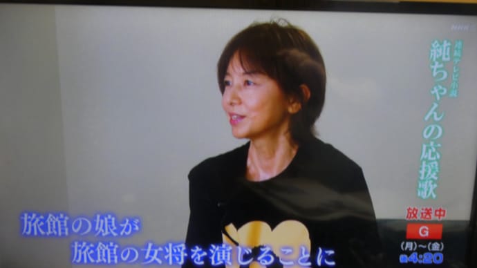 NHK朝ドラ「純ちゃんの応援歌」の再放送