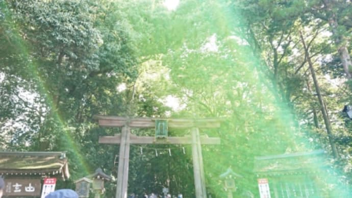 大神神社のおみくじは…☆