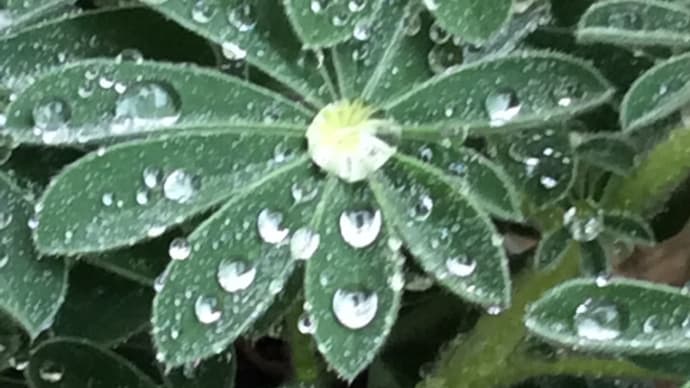 May. 雨上がりそう。。。。。