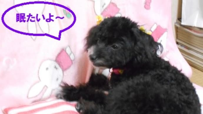 暖房はまだ?