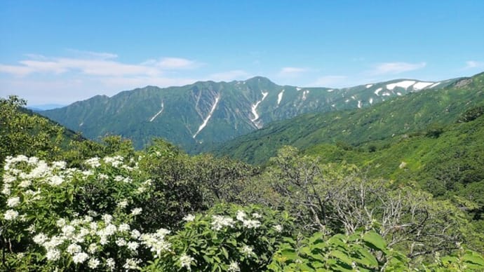 百花繚乱の飯豊山を満喫(その2、三国小屋~切合小屋)