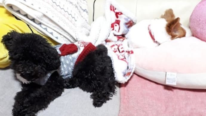 眠たいです。