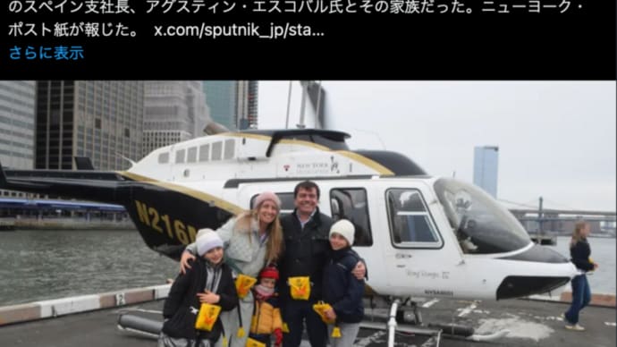 ニューヨーク・ハドソン川でヘリコプター墜落事故について