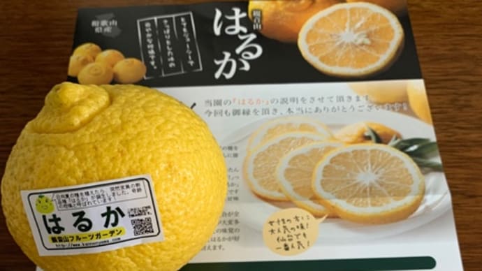 『はるか』を食す