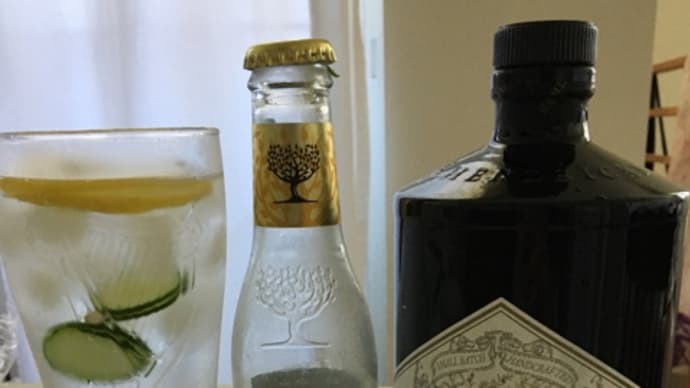 家飲みサイコー！　ヘンドリックスジンと、ラタトゥユぶっかけたみたいなパスタ