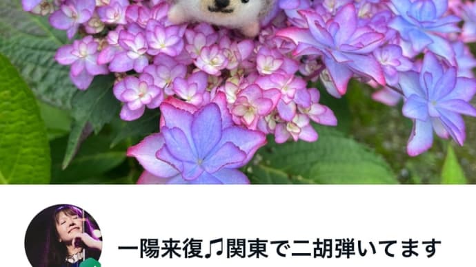 Amebaブログに引っ越し完了しました❗️
