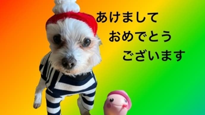 復活!まとめて1月分