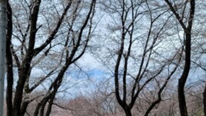 もくれんの会の皆さま