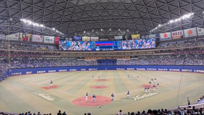 ドームで観戦⚾️