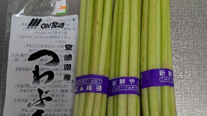 春のお届け~つわぶき他