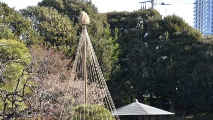 目白庭園 池と六角浮き見堂の景色 8