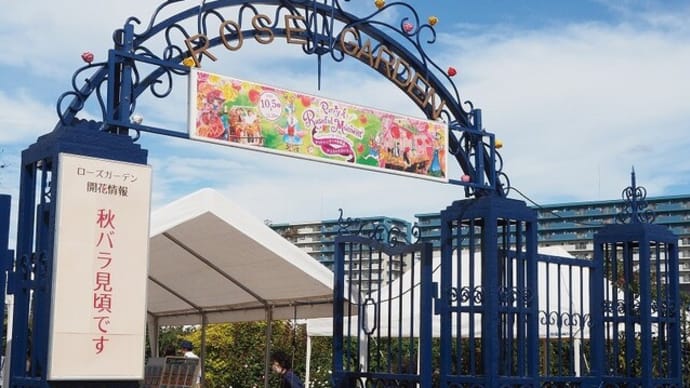 にしさんの花日記 バラ 千葉県 京成バラ園