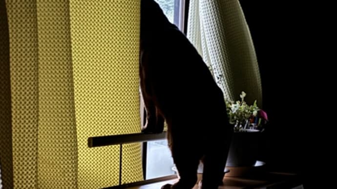 幸福な生活とは