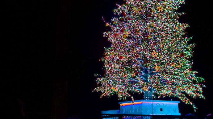 巨大クリスマスツリー⑥2024
