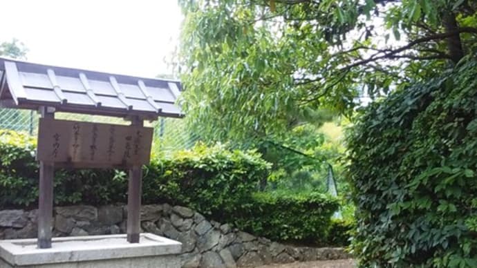京都洛西の天皇陵めぐり④ ~文徳天皇田邑陵~