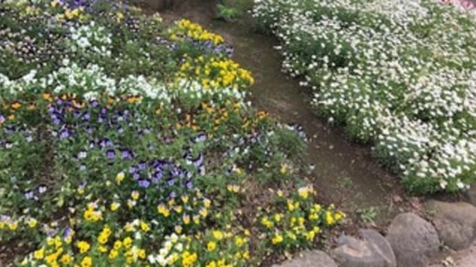 飛鳥山公園~2023年と音無親水公園