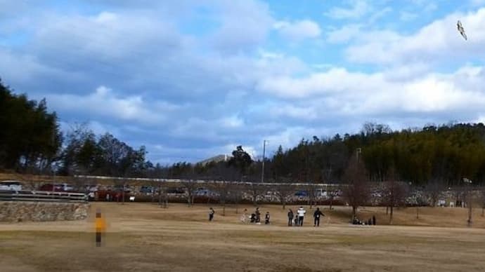 桜山公園  で 凧あげ