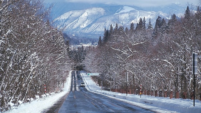 ★白馬村の雪景色（１）2020