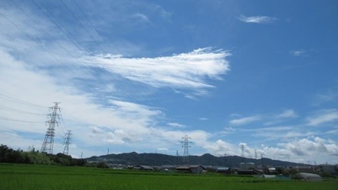 ファミリーマートのお母さん食堂 つかの間の青空