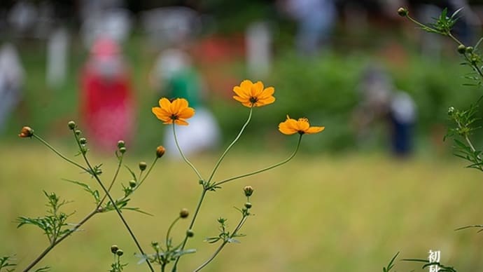 穏やかな初秋景。