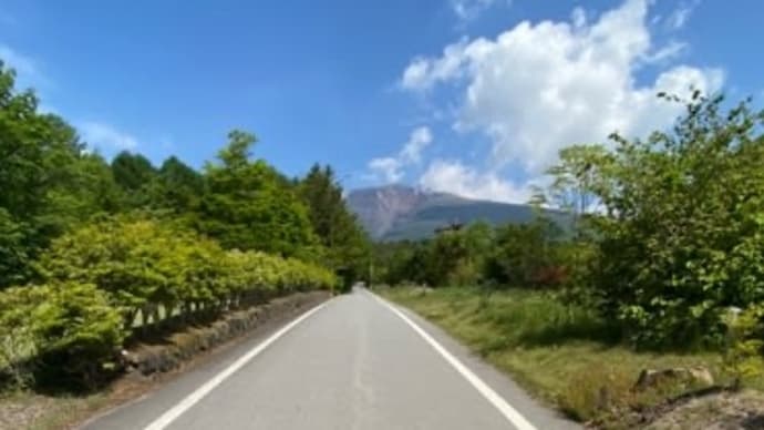 日曜日朝のお散歩