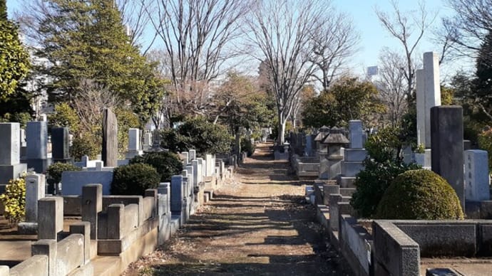 永井荷風の墓が見易くなった。