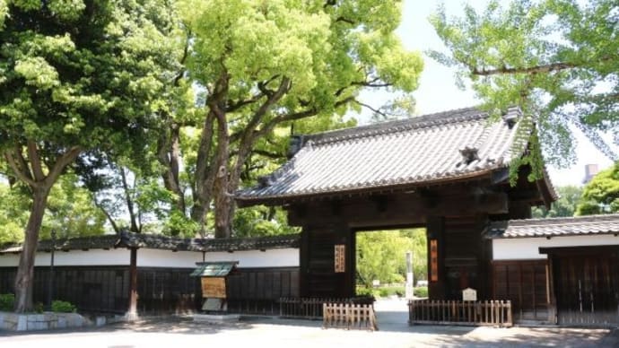 徳川園 鴨親子と新緑の庭園