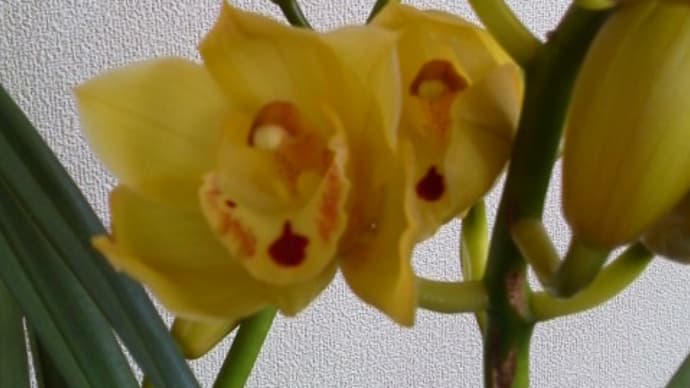 人数が多いカップリングパーティーの注意点