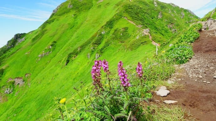 「富良野岳」・山歩の思い出109