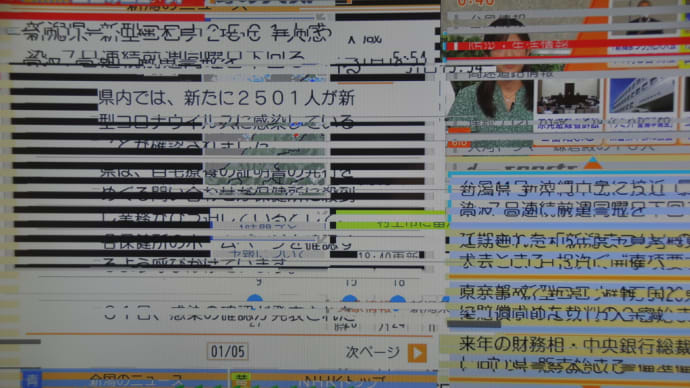 パナソニック製TH-L39C60型壁掛けカラーテレビジョン受像機 像が乱れる。
