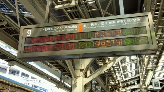 2019 冬の南伊豆ぶらり紀行①【「踊り子131号」で引退近い185系を堪能】