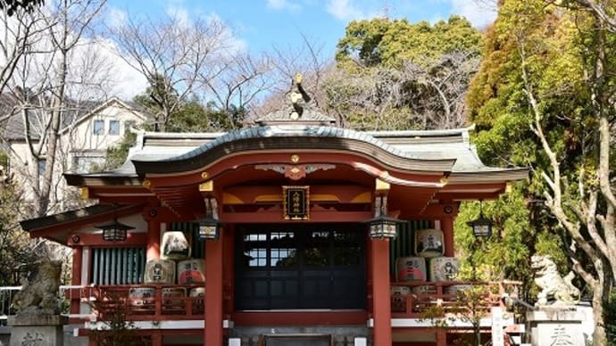 岡本八幡神社 の 梅 '22