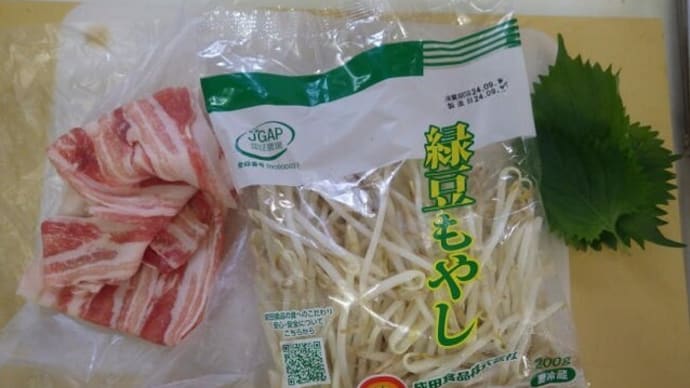モヤシがあれば何とかなる…②