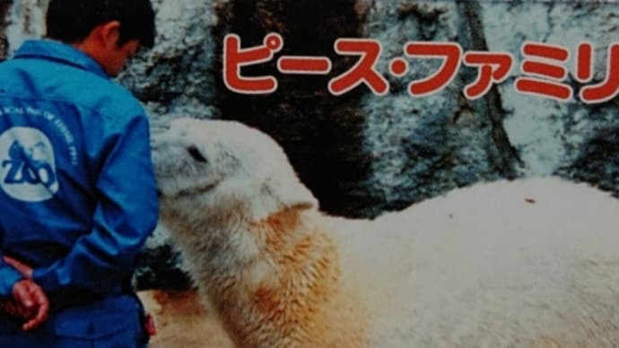 癒しのピース（北極熊）13歳誕生会・2013年高市飼育員さんのご挨拶（マイビデオ）