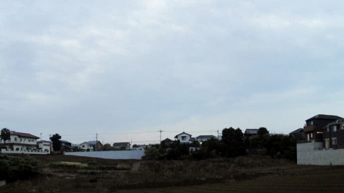 08月20日 暑さは少し落ち着いた