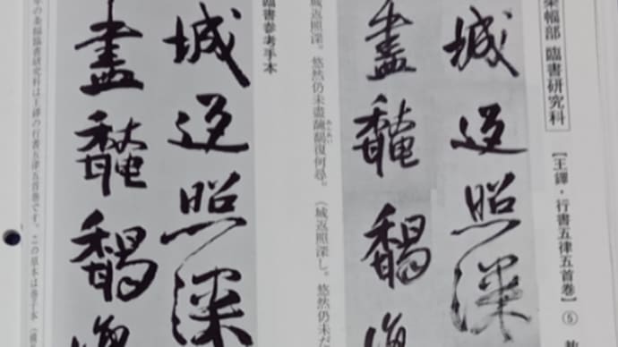 きょうは手羽先記念日だそうです